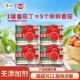 中粮屯河新疆番茄丁200g西红柿罐头0零添加西红柿块家用番茄酱