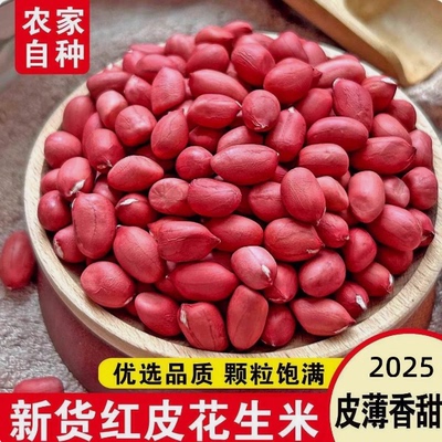 红皮花生米农家小粒生花生仁红衣花生米仁杂粮红米花生米小红花生
