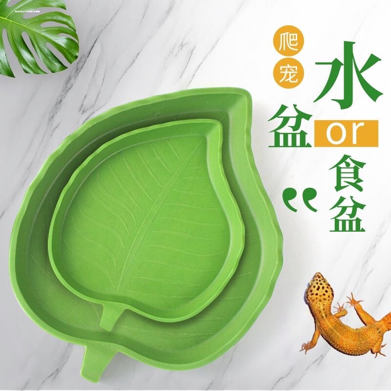 爬宠塑料蜘蛛水盆爬虫饮水器仓鼠守宫鬃狮蜥蜴防逃食盆蝎子寄居蟹