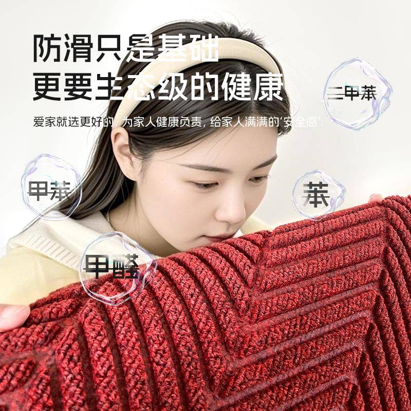 2025新款黑色口入户门除地垫户外入门脚垫用家新款地毯室外门防滑