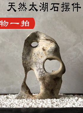 太湖石 假山盆景石头小摆件鱼缸造景附石观赏石天然石材原石抱石