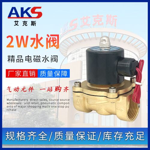 艾克斯全铜2W电磁025-08气阀2W160-15水阀2W250-25/32/402W500-50