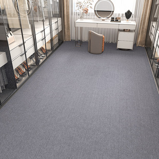 衣帽间地毯轻奢高级感家用卧室地毯试衣间地垫全铺大面积定制加厚