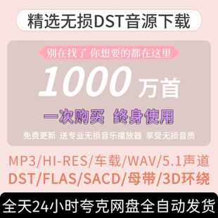 2026车载无损音乐下载免费抖音MP3歌曲高音质DJ怀旧 WAV热歌下载