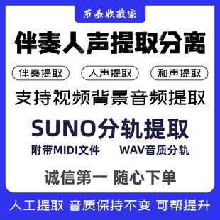 视频背景音频提取伴奏人声分离消除原唱去和声Suno分轨提取