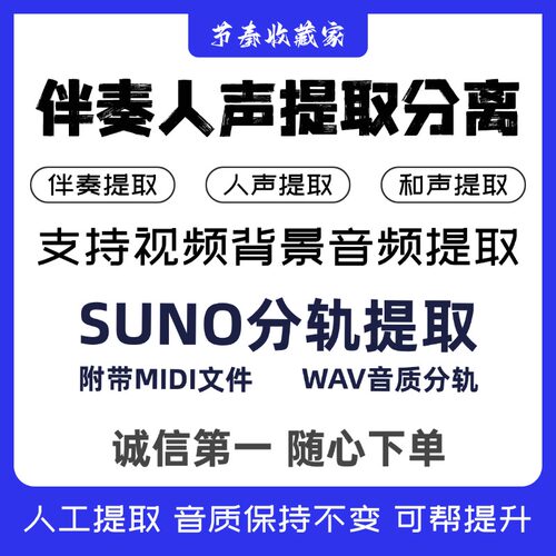 视频背景音频提取伴奏人声分离消除原唱去和声Suno分轨提取