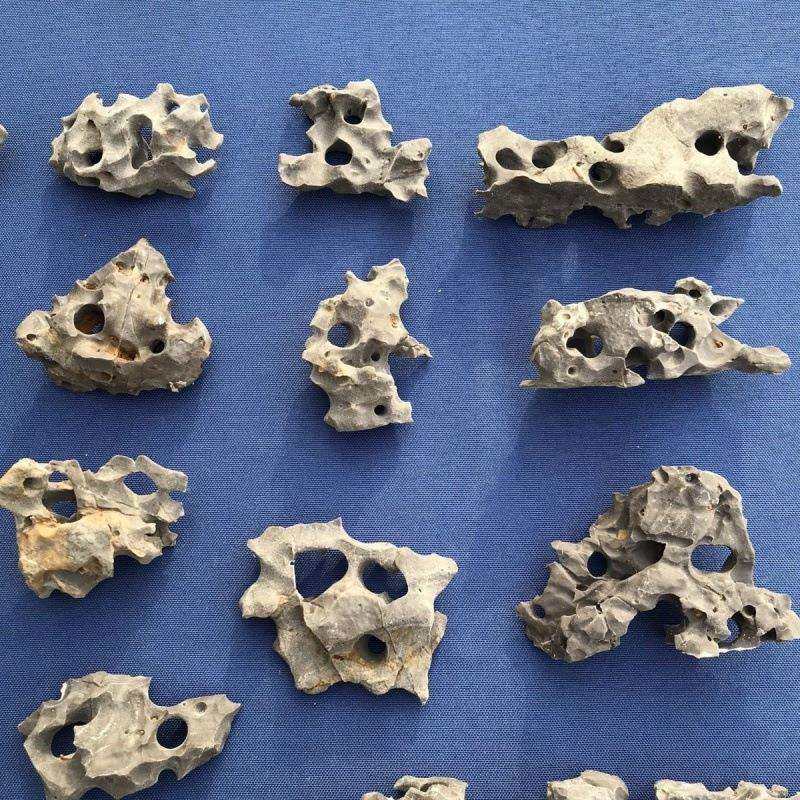 微造景随机原微景观发货小鱼缸960造景石石石盆太湖石景,电子/电工,接线端子,淘宝优惠券,粉丝福利购,淘宝优惠卷