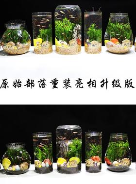 ycy56025观生态瓶鱼微景观免换鱼水打理水赏族办免公桌面创意造景