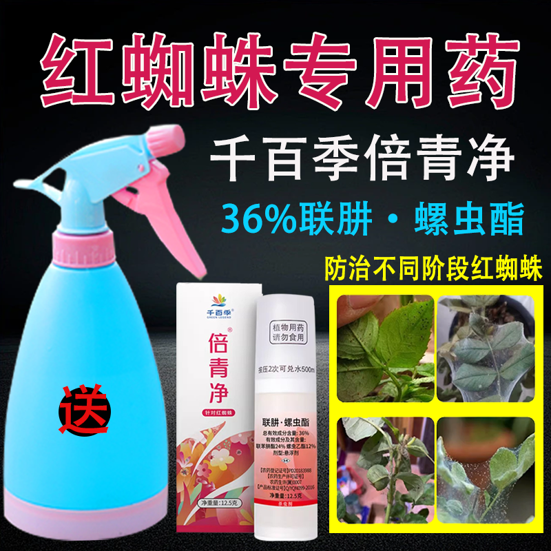 千百季倍清净倍青净联肼螺虫酯月季花卉红蜘蛛专用药杀螨剂杀虫剂
