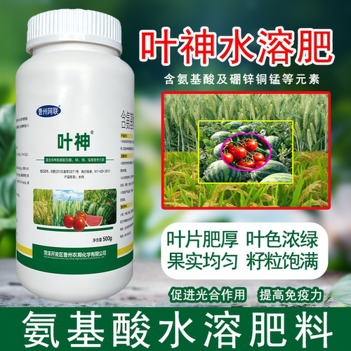 叶神氨基酸水溶肥料番茄西瓜小麦水稻茄果类专用硼锌铜锰叶面农肥
