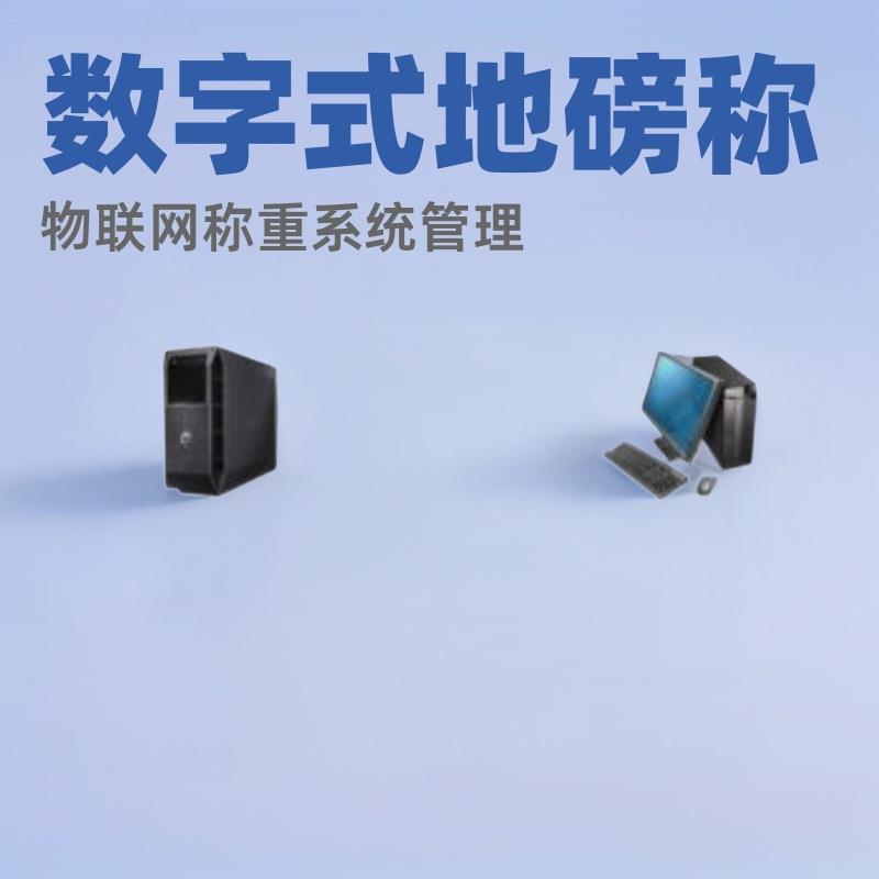 模拟式电子汽车衡称重管理系统数字式地磅称物联网称重系统管理