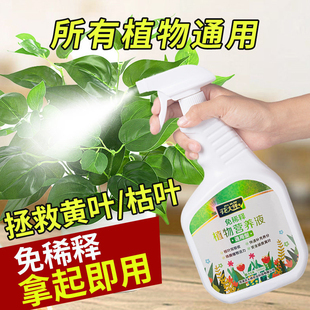 营养液植物通用型养花发财树绿植花卉绿萝肥料室内盆栽叶面肥喷施
