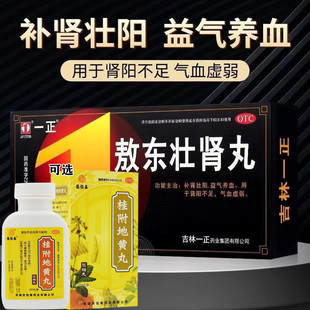 黑丸子补肾敖东壮肾丸肾阳不足肾虚肾亏体虚乏力中药桂附地黄丸G