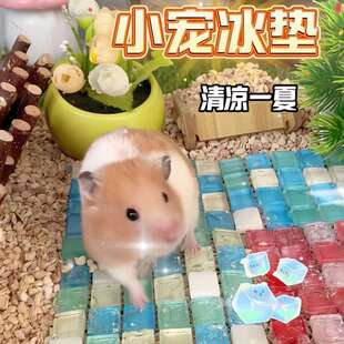 仓鼠冰垫夏天降温板散热用品宠物屋金丝熊兔子凉席垫避暑神器冰窝