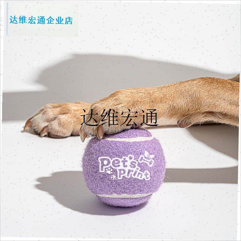 petsprint狗狗玩具球宠物用品网球巡回神器R边牧静音训练宠物球,