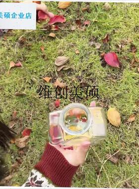 l秋天收集瓶植物标本星星瓶子透明树叶收纳瓶创意Tdiy干花桌面摆