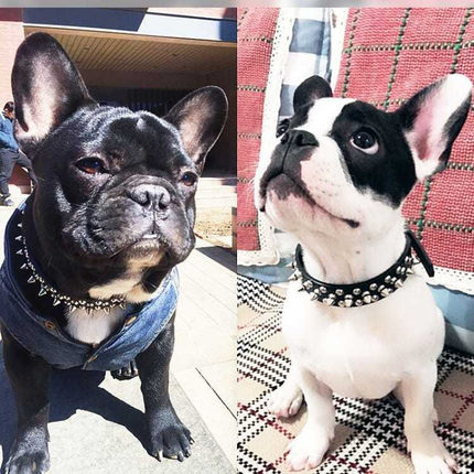 狗狗项圈中小型犬狗圈法斗颈圈柯基雪纳瑞柳钉脖圈宠物用品牵引绳