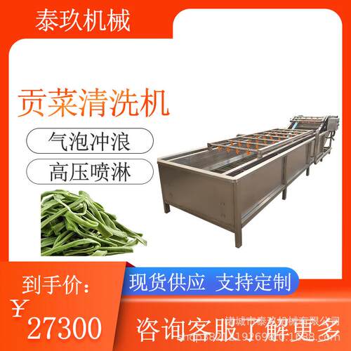 贡菜气泡清洗机雪菜气泡清洗设备胡瓜洗菜机梅干菜浸泡清洗流水线