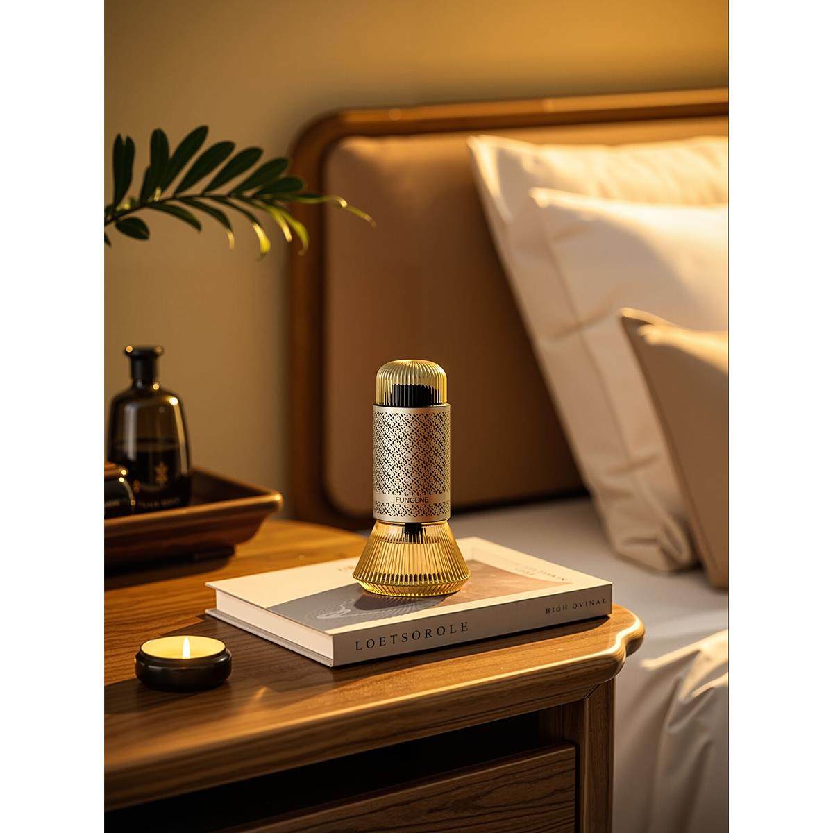 梵吉尼香薰摆件礼盒高级扩香器家用持久留香无火无电香氛生日礼物