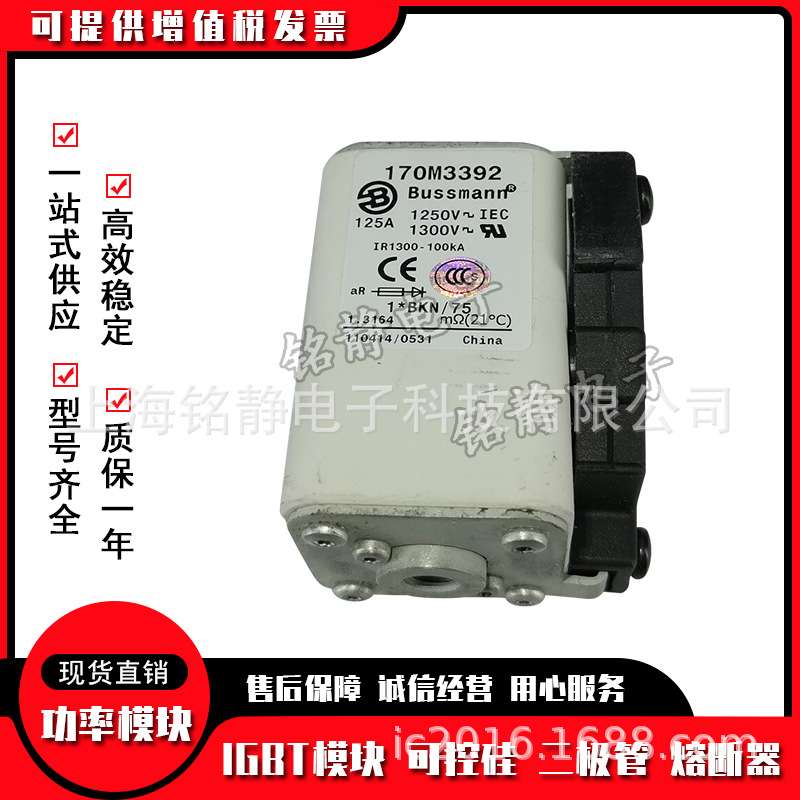 熔断器保险丝170M3368 170M3369 170M3370 170M3371