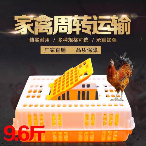 鸡用周箱料养鸡笼转装鸡机械塑料筐家禽鸭鹅小XMH塑鸡殖场雏鸡笼