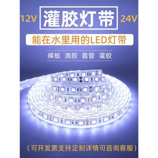 12V24v伏灌胶防水led灯带室外水里低压灯条鱼塘泳池裸板滴胶套管