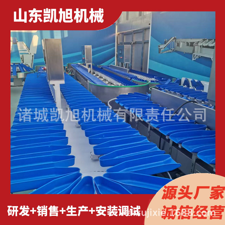海参动态捡重分级机鱿鱼八带称重分选机多功能高速分拣机支持试机