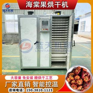 八棱海棠果烘干机电加热小型海棠果切片烘干箱海红果干烘干设备