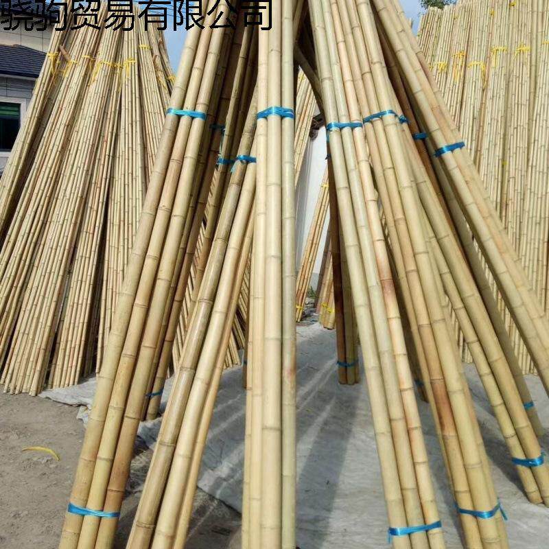 防腐竹竿装饰白黄粗细竹竿子豆角菜园黄瓜搭架菜架竹旗杆楠竹