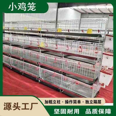 三四层鸡小层叠A字型养殖厂阶梯式自动化喂食高效率鸡