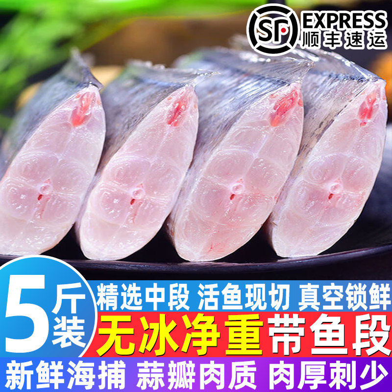 新鲜冷冻带鱼中段顺丰批发
