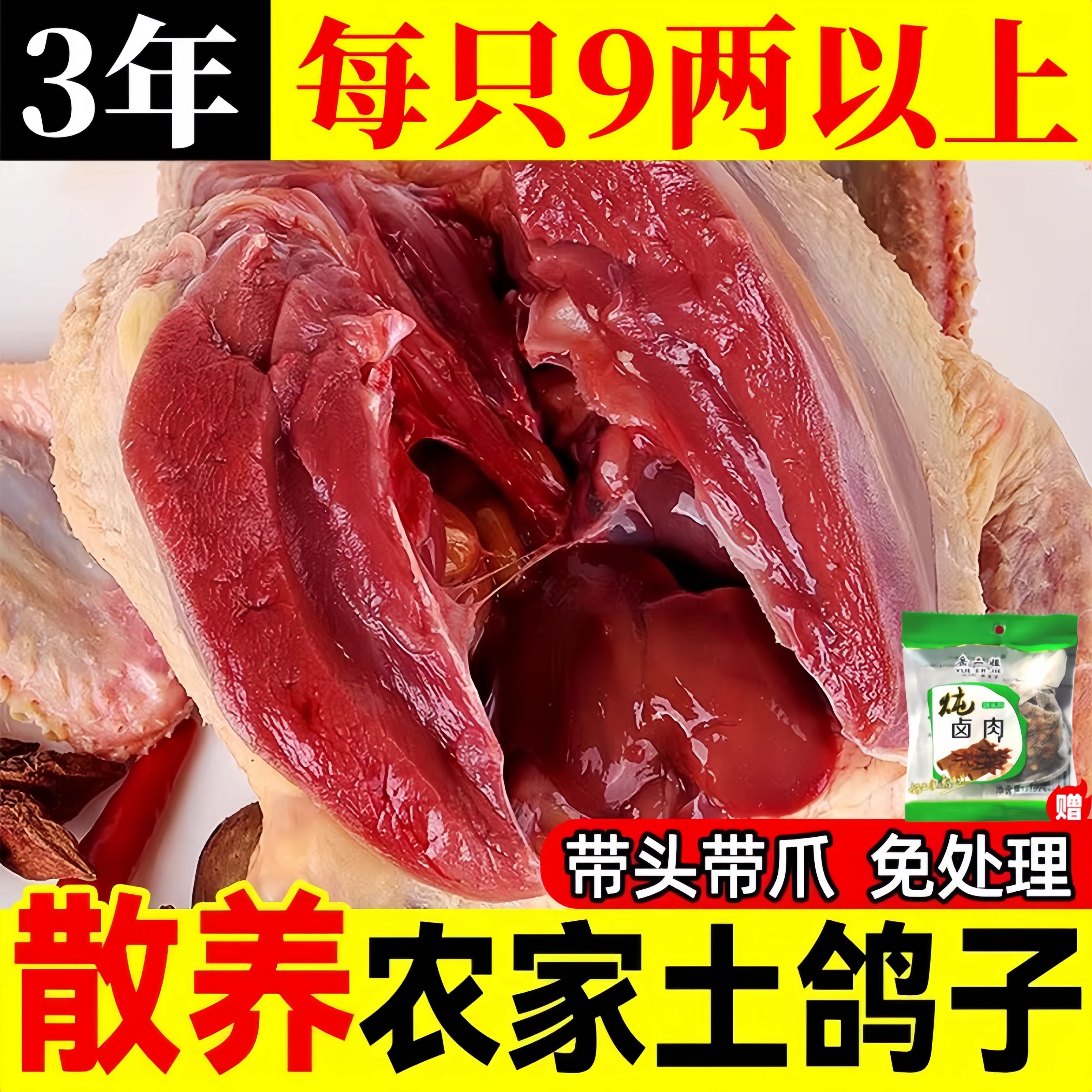 老鸽子现杀非闷杀顺丰包邮