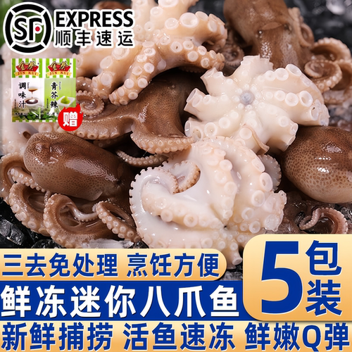 新鲜海捕鲜冻迷你八爪鱼