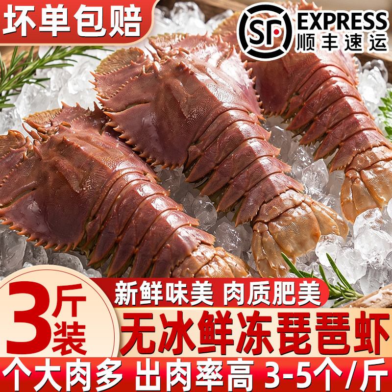 无冰速冻刺身品质超大九齿扇虾