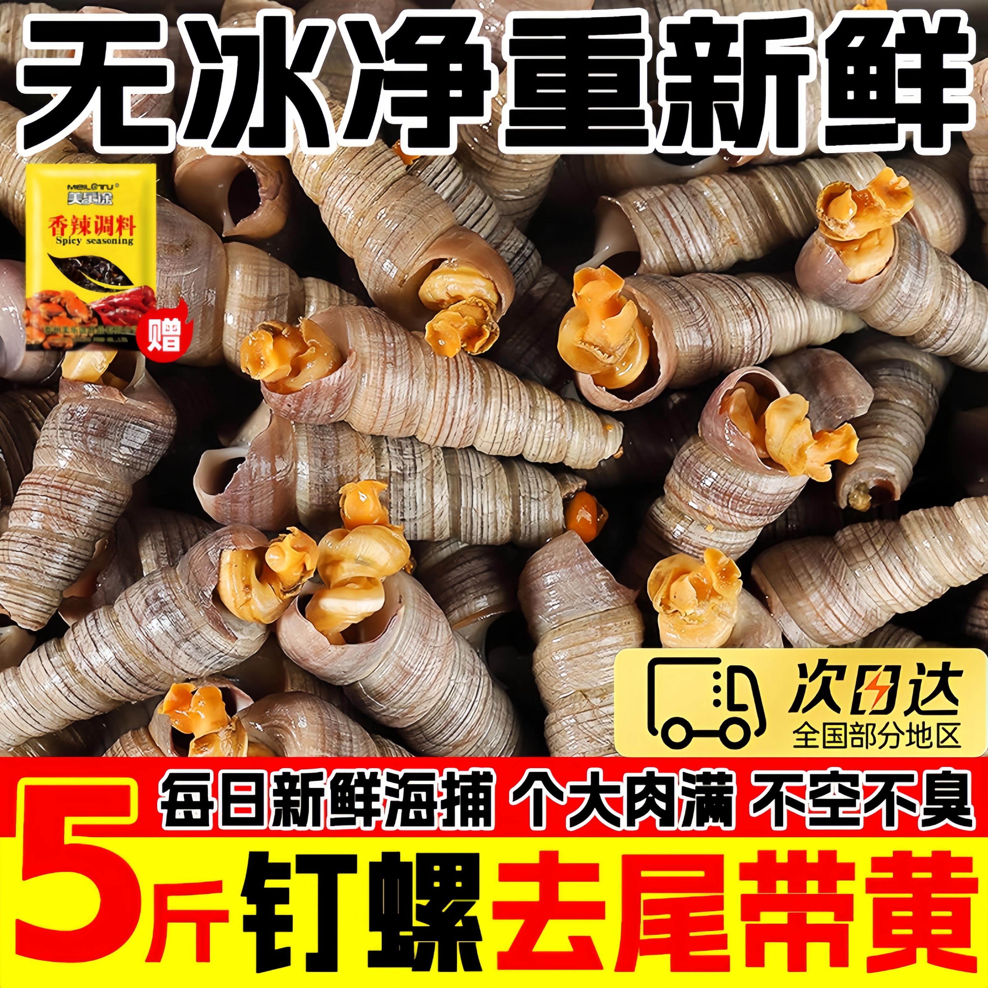 钉螺鲜活去尾大号锥螺无沙新鲜海螺丝捞汁小海鲜麻辣贝类包邮商用