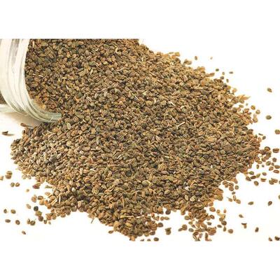 Organic ajwain seeds 100g 印度香料 香芹籽