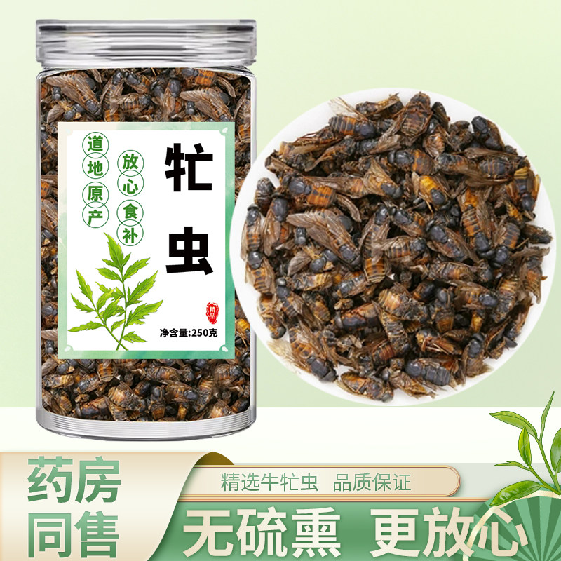 牛虻虫中药材官方正品旗舰店野生牛蚊子牛氓虫大个牛硭虫干