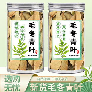 毛冬青叶中药材正品旗舰店毛东冬青叶小粘叶压降泡水的功效与作用