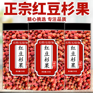 红豆杉果子干果果实煮水泡酒喝养生正宗小红果中药材相思果红豆杉