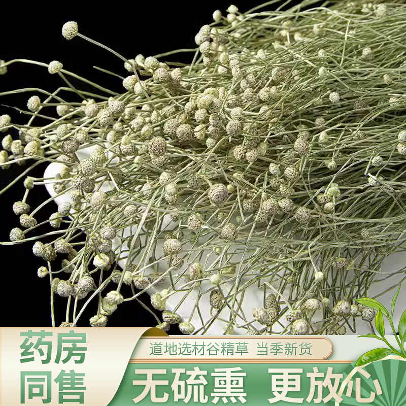 谷精草中药材正宗官方旗舰店谷精珠珍珠草茶连萼谷精草新鲜干货