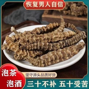 竹节参500克正品包邮中药材 干货 虫草参 银条菜 地蚕子 特级无硫