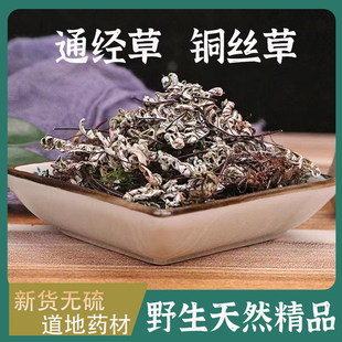 通经草中药材铜丝草 止惊草 银粉背蕨金线铜皮石崖岩飞草