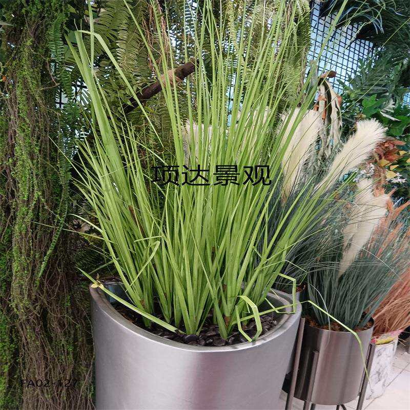 仿林真排草观壁挂蒲系草植物工程景园园艺装饰家UXW居客厅森绿化
