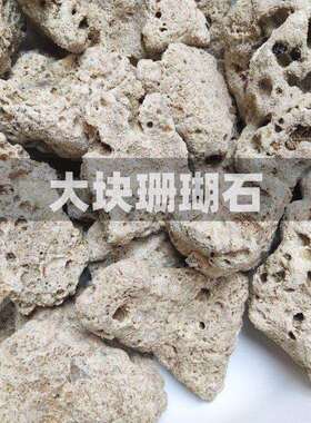 珊滤瑚过材料锦鲤鱼池珊净水过滤海鲜池专用成品石DD102127大块瑚