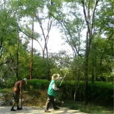 林草工具合一汽油H3H66H高枝园锯四加长杆园艺打草割割灌机高枝绿