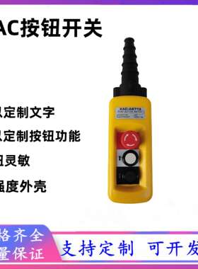 COBP-AS1防雨防尘行车控制手柄吊车控制按钮开关3键双速手电门