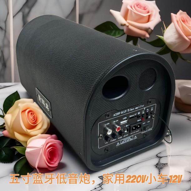 5寸蓝牙低音炮12V220v汽车音响220V家用户外重低音大喇叭新款智能,影音电器,无线/蓝牙音箱,淘宝优惠券,粉丝福利购,淘宝优惠卷