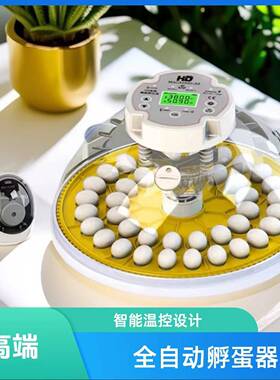 MACADHD 高精度 A8 全自动小型鹦鹉丝雀恒温孵蛋孵化器