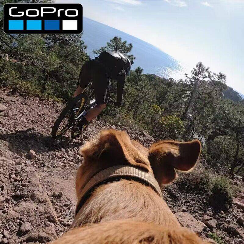 适用于gopro12/11/10/9/8狗狗胸带背带宠物固定Action4相机go pro