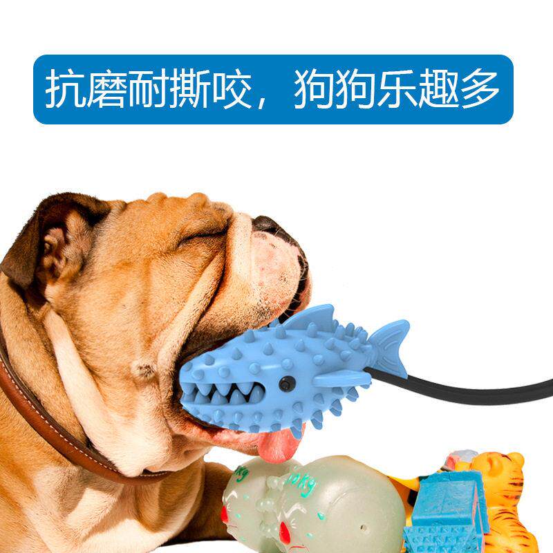 狗狗玩具磨牙棒可定制 拉布拉多磨牙玩具 宠物狗牙刷玩具跨境